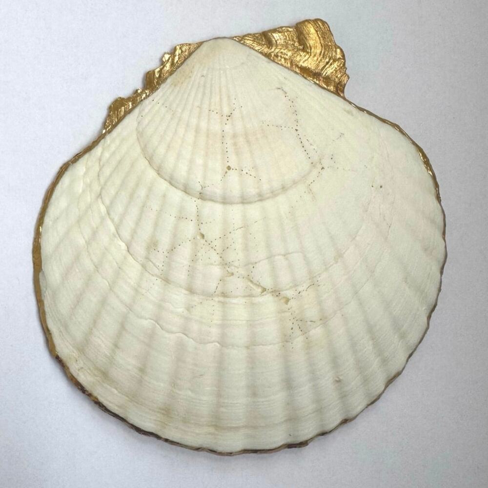 Chinoiserie Shell Trinket Dish | Blue White Botanical Decor | Ring Holder - Picture 5 of 5